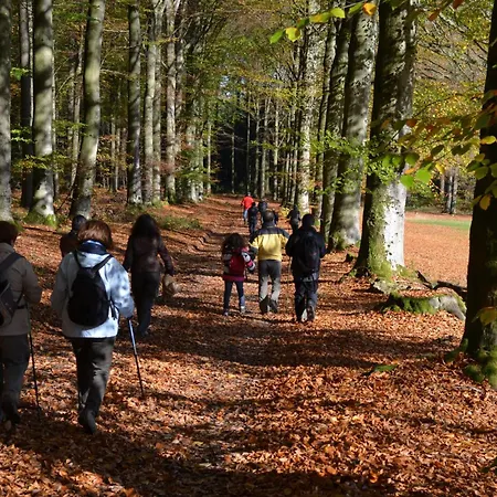 Nord Sud B&B Salmchâteau