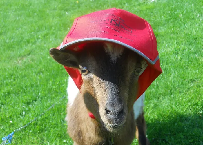 Bed & Breakfast Nord Sud Salmchâteau