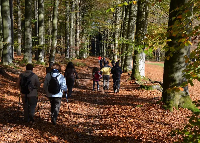 Nord Sud Bed & Breakfast Salmchâteau